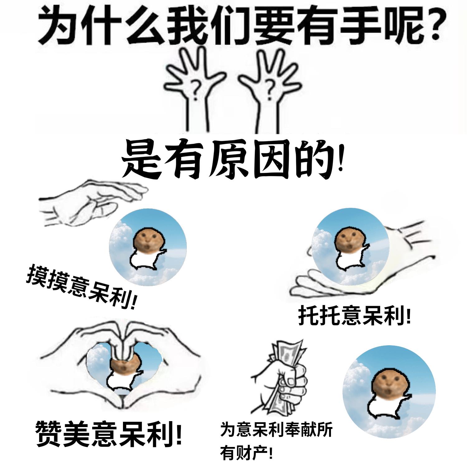 meme why_have_hands